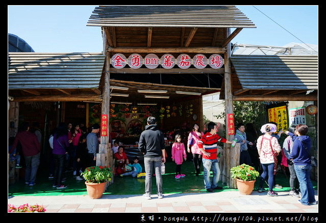【新竹遊記】新竹免費景點|全國唯一蕃茄品種最多|金勇DIY蕃茄休閒農場 【新竹遊記】新竹免費景點|全國唯一蕃茄品種最多|金勇DIY蕃茄休閒農場