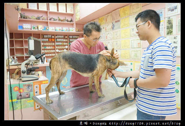 【基隆寵物醫院推薦】小動物免費健康檢查|基隆寵物醫院-汎汶動物醫院 【基隆寵物醫院推薦】小動物免費健康檢查|基隆寵物醫院-汎汶動物醫院