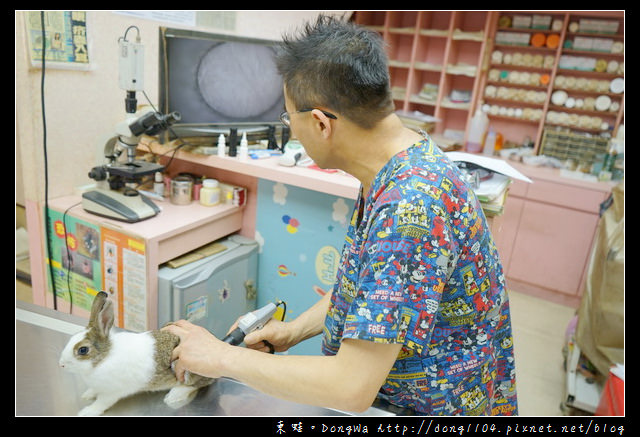 【基隆寵物醫院推薦】小動物免費健康檢查|基隆寵物醫院-汎汶動物醫院 【基隆寵物醫院推薦】小動物免費健康檢查|基隆寵物醫院-汎汶動物醫院