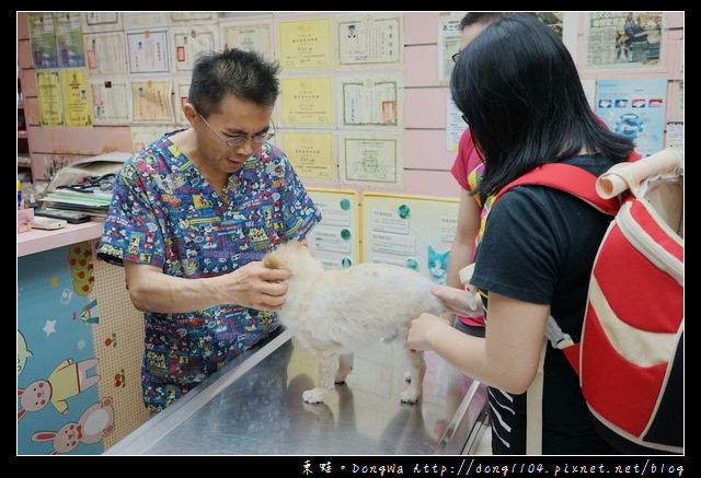 【基隆寵物醫院推薦】小動物免費健康檢查|基隆寵物醫院-汎汶動物醫院 【基隆寵物醫院推薦】小動物免費健康檢查|基隆寵物醫院-汎汶動物醫院