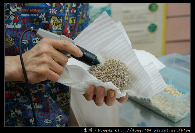 【基隆寵物醫院推薦】小動物免費健康檢查|基隆寵物醫院-汎汶動物醫院 【基隆寵物醫院推薦】小動物免費健康檢查|基隆寵物醫院-汎汶動物醫院