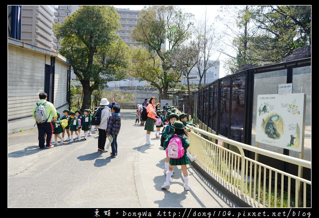 【大阪自助/自由行】大阪周遊卡免費景點|親子旅行景點推薦|天王寺動物園