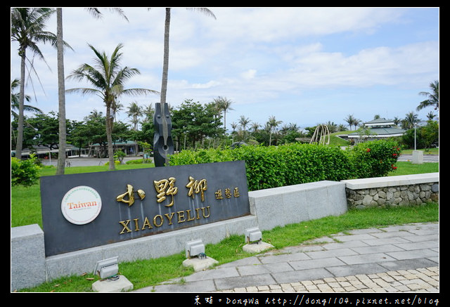 【台東遊記】台東免費景點|絕佳戶外地理教室 奇岩怪石各異其趣|小野柳遊憩區 【台東遊記】台東免費景點|絕佳戶外地理教室 奇岩怪石各異其趣|小野柳遊憩區