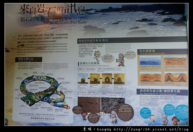 【台東遊記】台東免費景點|絕佳戶外地理教室 奇岩怪石各異其趣|小野柳遊憩區 【台東遊記】台東免費景點|絕佳戶外地理教室 奇岩怪石各異其趣|小野柳遊憩區