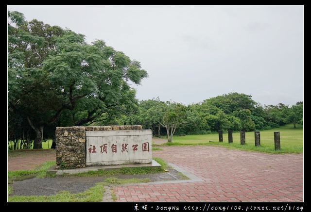 【屏東遊記】恆春生態遊旅推薦 豐富的動植物生態|社頂部落夜間生態遊程之旅 【屏東遊記】恆春生態遊旅推薦 豐富的動植物生態|社頂部落夜間生態遊程之旅