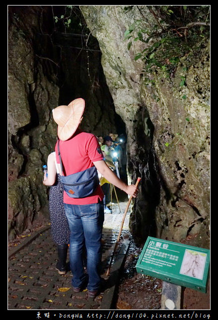 【屏東遊記】恆春生態遊旅推薦 豐富的動植物生態|社頂部落夜間生態遊程之旅 【屏東遊記】恆春生態遊旅推薦 豐富的動植物生態|社頂部落夜間生態遊程之旅