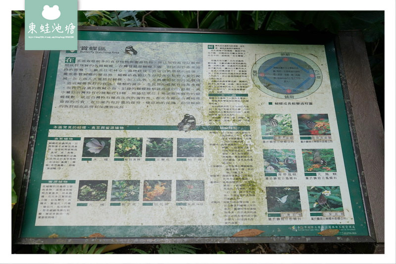 【台北大安區免費景點推薦】富陽自然生態公園 親子親近大自然的好選擇 好停車 【台北大安區免費景點推薦】富陽自然生態公園 親子親近大自然的好選擇 好停車