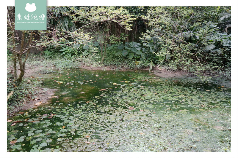 【台北大安區免費景點推薦】富陽自然生態公園 親子親近大自然的好選擇 好停車 【台北大安區免費景點推薦】富陽自然生態公園 親子親近大自然的好選擇 好停車