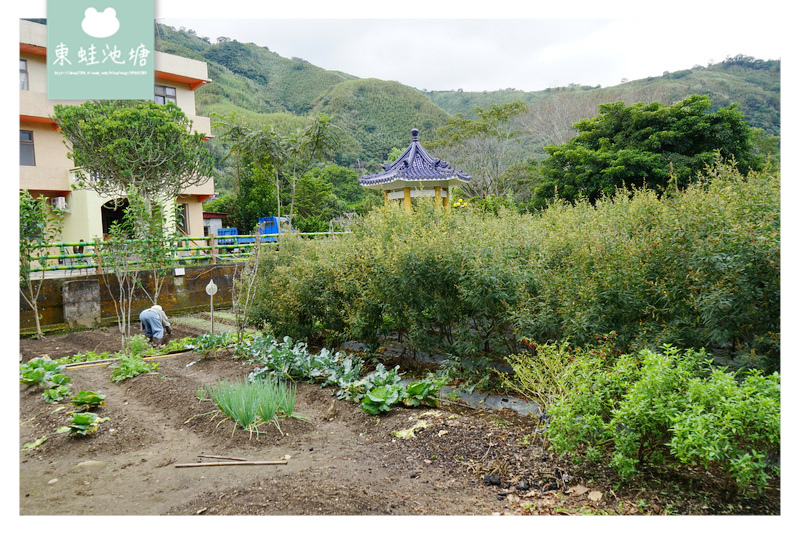 【桃園復興美食推薦】部落山水輕旅行原住民風味餐 蝶木窩露營休閒坊 【桃園復興美食推薦】部落山水輕旅行原住民風味餐 蝶木窩露營休閒坊