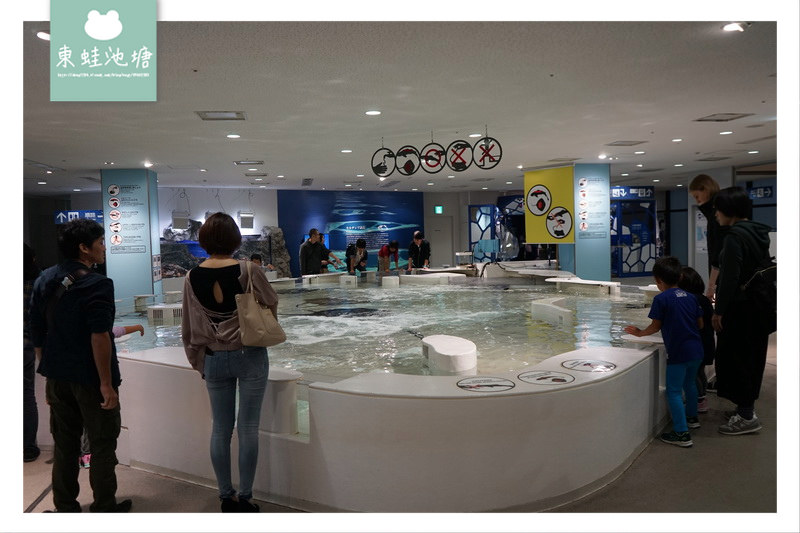 【大阪親子景點推薦】大阪港天保山摩天輪旁 日本最壯觀水族館之一 大阪海遊館 Osaka Aquarium KAIYUKAN