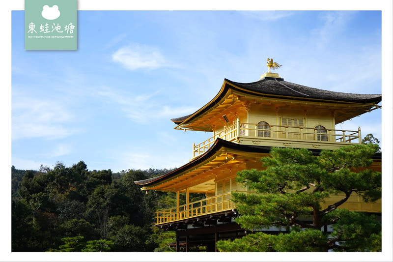 【大阪巴士一日遊行程推薦】KKDAY 在地行程 中文導覽 嵐山嵯峨野竹林 奈良公園東大寺