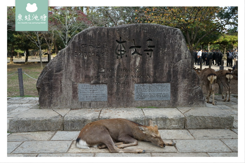 【大阪巴士一日遊行程推薦】KKDAY 在地行程 中文導覽 嵐山嵯峨野竹林 奈良公園東大寺