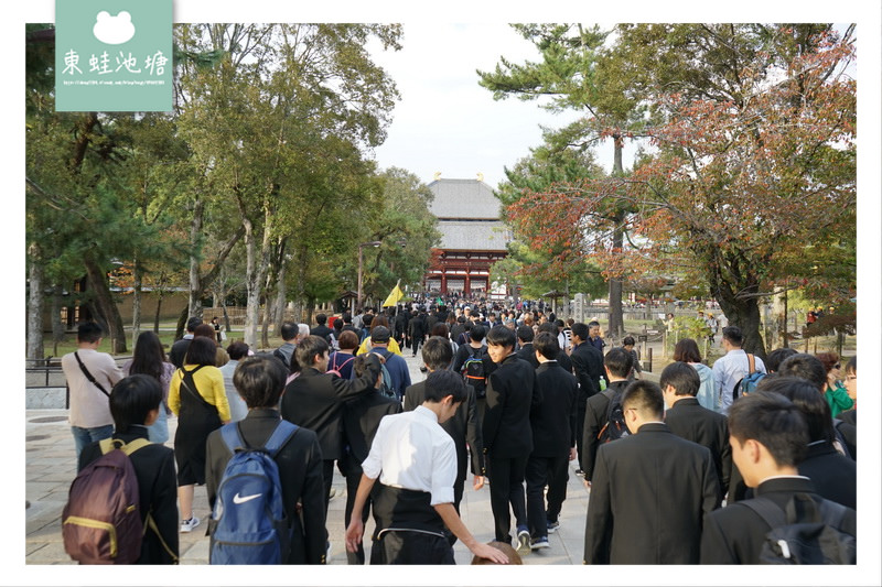 【大阪巴士一日遊行程推薦】KKDAY 在地行程 中文導覽 嵐山嵯峨野竹林 奈良公園東大寺