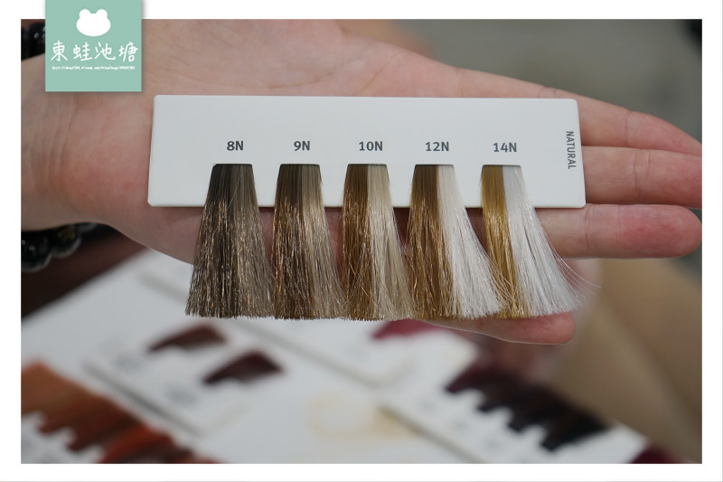 【竹北染髮推薦】AVEDA 花植染髮 93%天然萃取成分 精萃髮廊二館