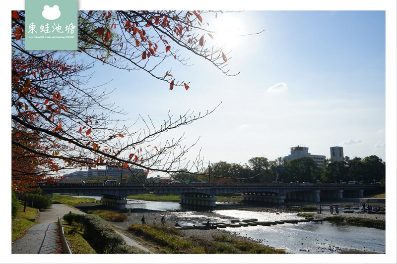 【京都免費景點推薦】京都夏天親子玩水行程 鴨川跳烏龜 【京都免費景點推薦】京都夏天親子玩水行程 鴨川跳烏龜