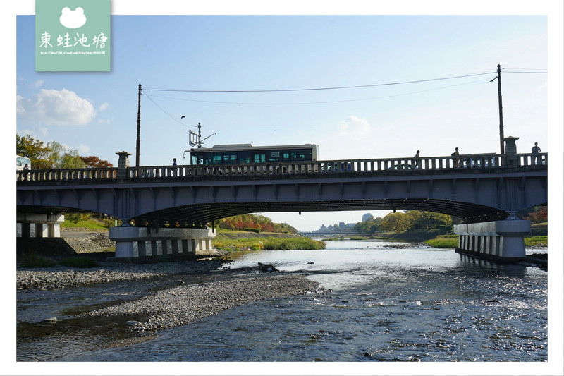 【京都免費景點推薦】京都夏天親子玩水行程 鴨川跳烏龜 【京都免費景點推薦】京都夏天親子玩水行程 鴨川跳烏龜