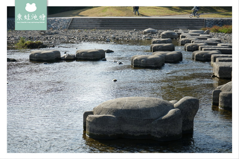 【京都免費景點推薦】京都夏天親子玩水行程 鴨川跳烏龜 【京都免費景點推薦】京都夏天親子玩水行程 鴨川跳烏龜