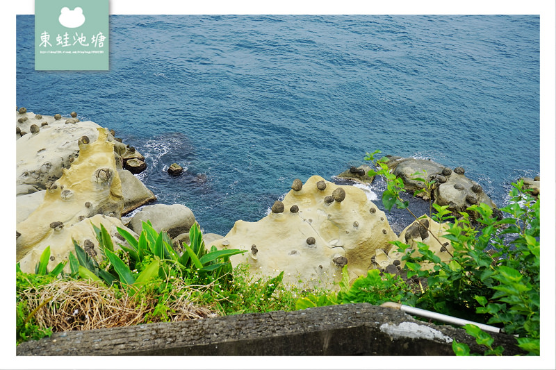 【基隆親子景點推薦】奇特海蝕地形景觀 270度海景雷達站 免費定時導覽蕃字洞 和平島公園 Heping Island Park 【基隆親子景點推薦】奇特海蝕地形景觀 270度海景雷達站 免費定時導覽蕃字洞 和平島公園 Heping Island Park