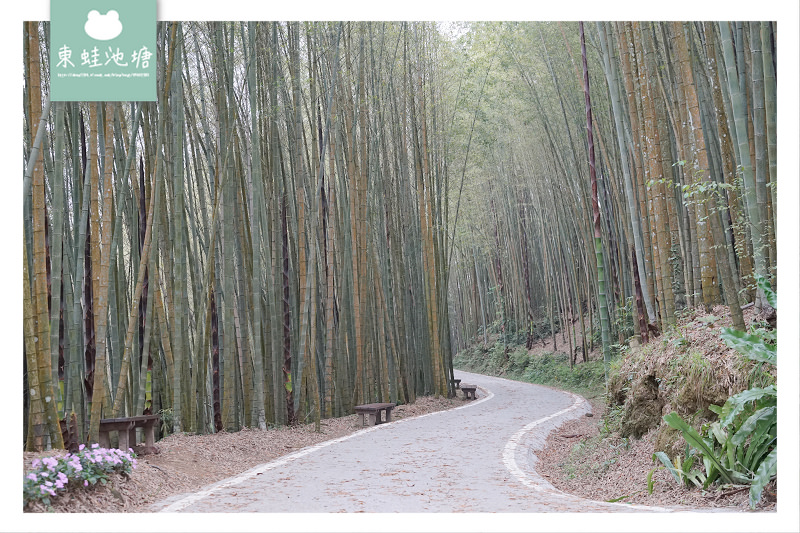 【嘉義梅山免費景點推薦】台灣版京都嵐山竹林小徑 瑞里綠色隧道 【嘉義梅山免費景點推薦】台灣版京都嵐山竹林小徑 瑞里綠色隧道