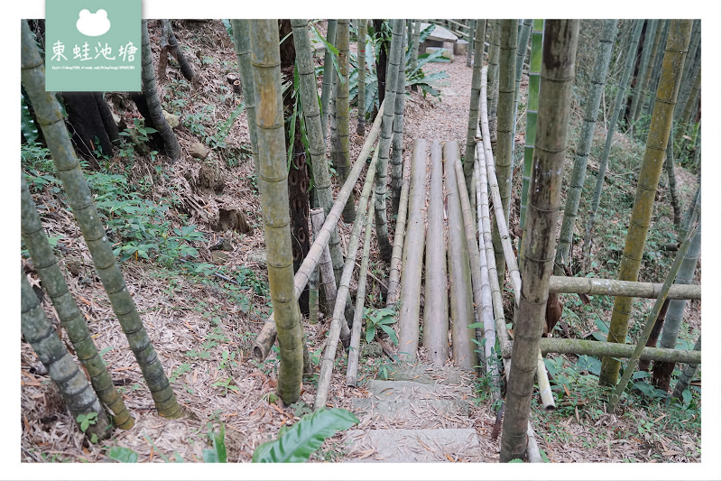 【嘉義梅山免費景點推薦】台灣版京都嵐山竹林小徑 瑞里綠色隧道 【嘉義梅山免費景點推薦】台灣版京都嵐山竹林小徑 瑞里綠色隧道