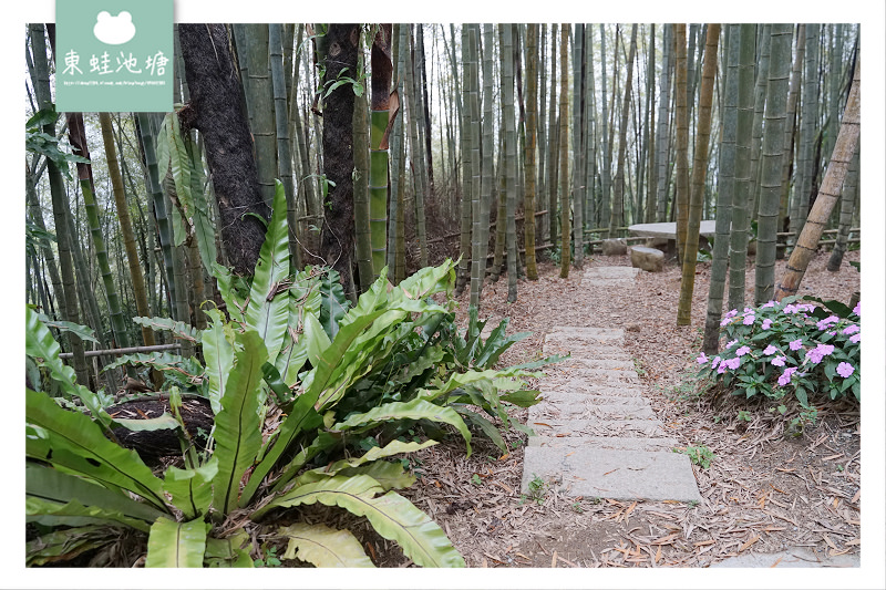 【嘉義梅山免費景點推薦】台灣版京都嵐山竹林小徑 瑞里綠色隧道 【嘉義梅山免費景點推薦】台灣版京都嵐山竹林小徑 瑞里綠色隧道