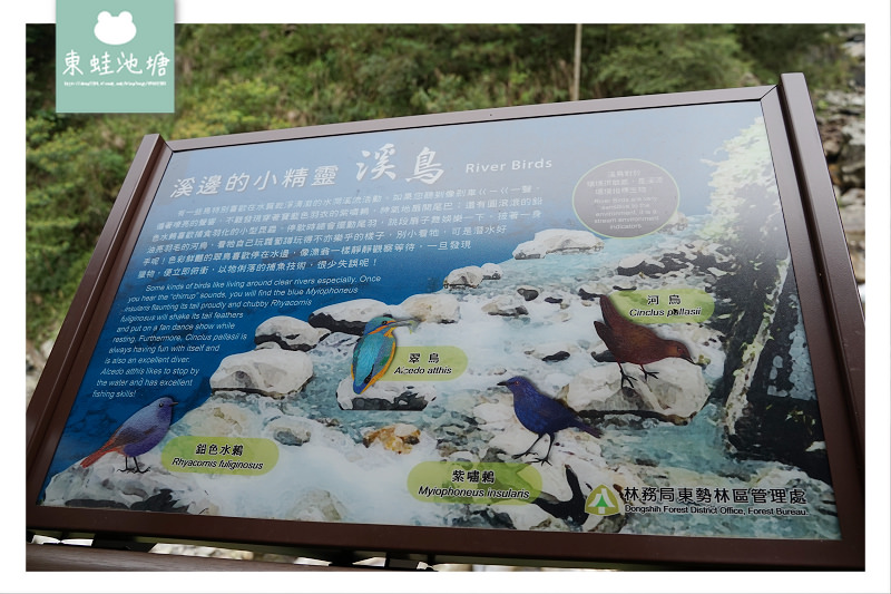 【台中一日遊景點推薦】台灣八景/三大林場之一 來回八小時主峰步道 八仙山國家森林遊樂區 【台中一日遊景點推薦】台灣八景/三大林場之一 來回八小時主峰步道 八仙山國家森林遊樂區