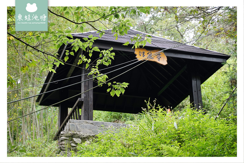 【台中一日遊景點推薦】台灣八景/三大林場之一 來回八小時主峰步道 八仙山國家森林遊樂區 【台中一日遊景點推薦】台灣八景/三大林場之一 來回八小時主峰步道 八仙山國家森林遊樂區