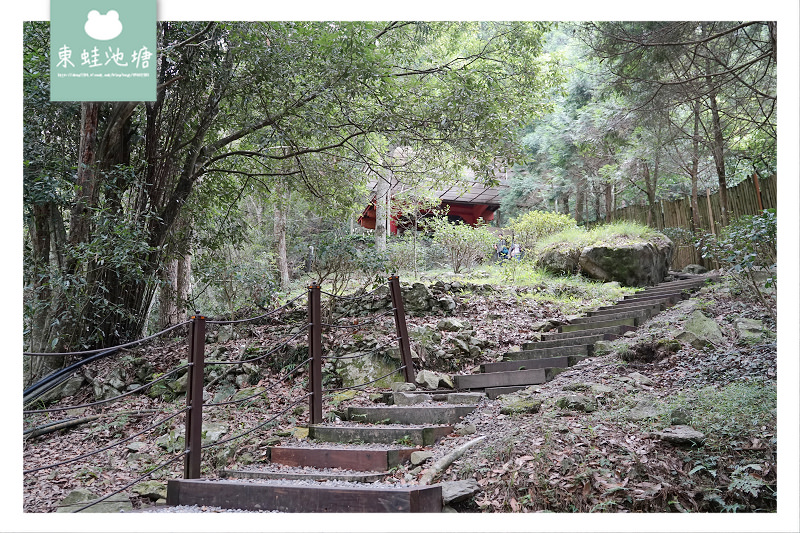 【台中一日遊景點推薦】台灣八景/三大林場之一 來回八小時主峰步道 八仙山國家森林遊樂區 【台中一日遊景點推薦】台灣八景/三大林場之一 來回八小時主峰步道 八仙山國家森林遊樂區