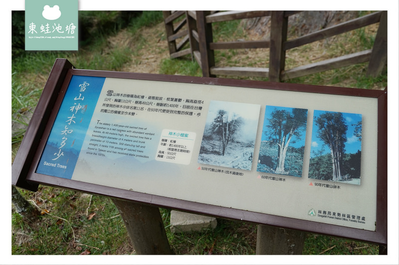 【台中一日遊景點推薦】絕美小雪山天池+雪山神木 大雪山國家森林遊樂區 【台中一日遊景點推薦】絕美小雪山天池+雪山神木 大雪山國家森林遊樂區