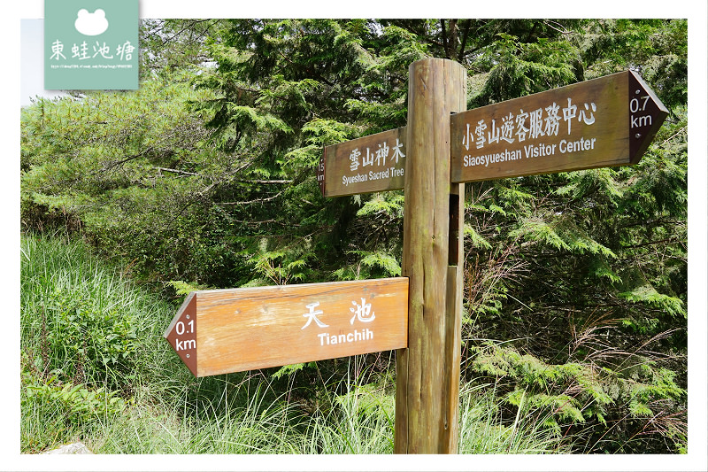 【台中一日遊景點推薦】絕美小雪山天池+雪山神木 大雪山國家森林遊樂區 【台中一日遊景點推薦】絕美小雪山天池+雪山神木 大雪山國家森林遊樂區