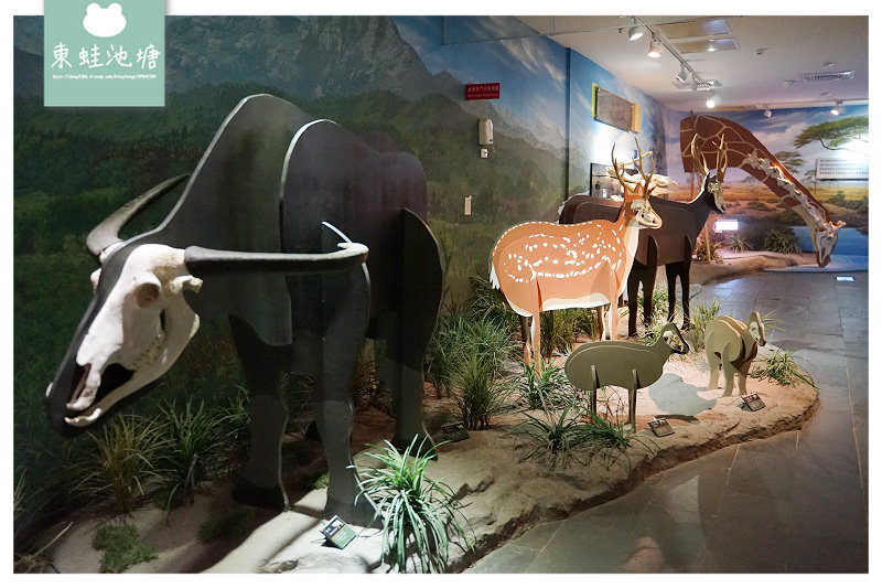 【台南室內景點推薦】新市區親子景點 台灣首座骨骼標本展示博物館 樹谷生活科學館 【台南室內景點推薦】新市區親子景點 台灣首座骨骼標本展示博物館 樹谷生活科學館
