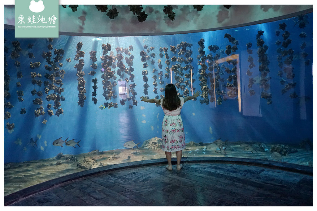 【屏東必訪親子景點推薦】海洋生物主題大型博物館 國立海洋生物博物館-海生館 【屏東必訪親子景點推薦】海洋生物主題大型博物館 國立海洋生物博物館-海生館