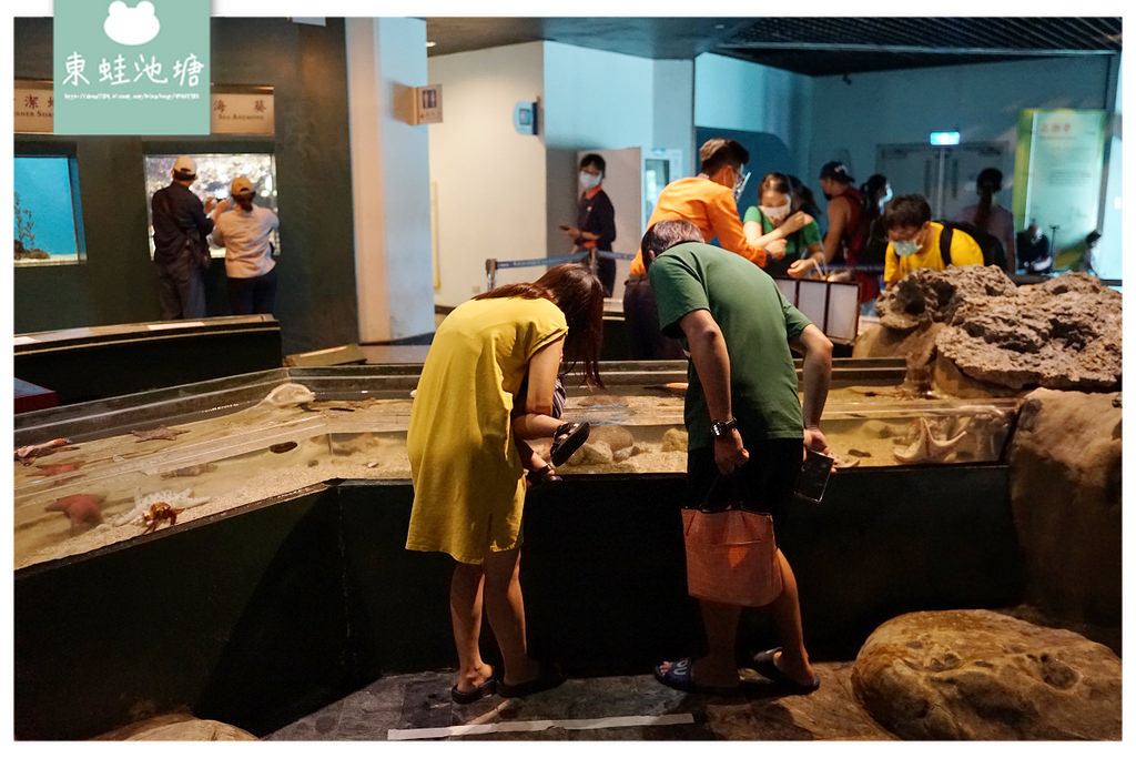 【屏東必訪親子景點推薦】海洋生物主題大型博物館 國立海洋生物博物館-海生館 【屏東必訪親子景點推薦】海洋生物主題大型博物館 國立海洋生物博物館-海生館