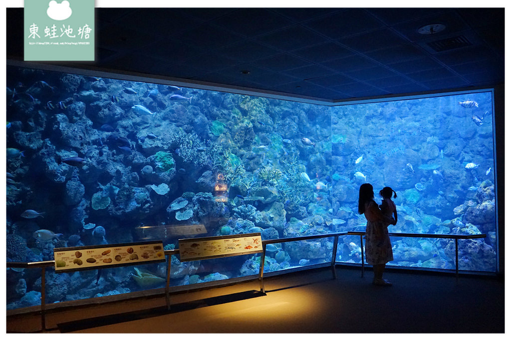 【屏東必訪親子景點推薦】海洋生物主題大型博物館 國立海洋生物博物館-海生館 【屏東必訪親子景點推薦】海洋生物主題大型博物館 國立海洋生物博物館-海生館