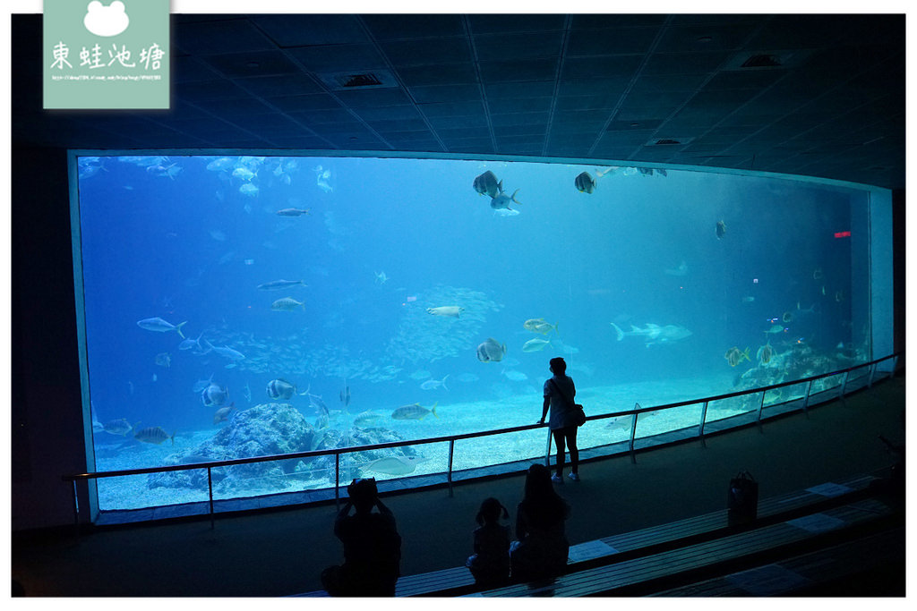 【屏東必訪親子景點推薦】海洋生物主題大型博物館 國立海洋生物博物館-海生館 【屏東必訪親子景點推薦】海洋生物主題大型博物館 國立海洋生物博物館-海生館