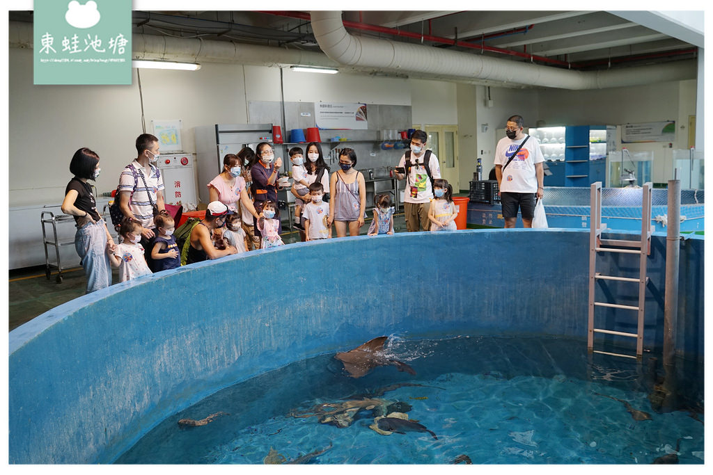 【屏東必訪親子景點推薦】海洋生物主題大型博物館 國立海洋生物博物館-海生館 【屏東必訪親子景點推薦】海洋生物主題大型博物館 國立海洋生物博物館-海生館