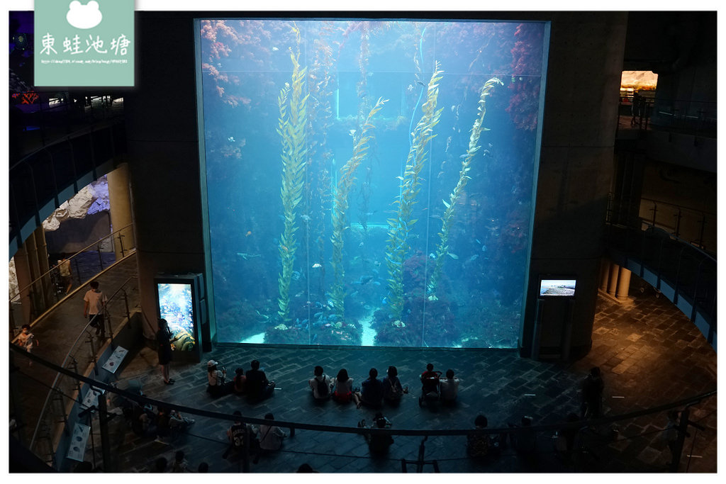 【屏東必訪親子景點推薦】海洋生物主題大型博物館 國立海洋生物博物館-海生館 【屏東必訪親子景點推薦】海洋生物主題大型博物館 國立海洋生物博物館-海生館
