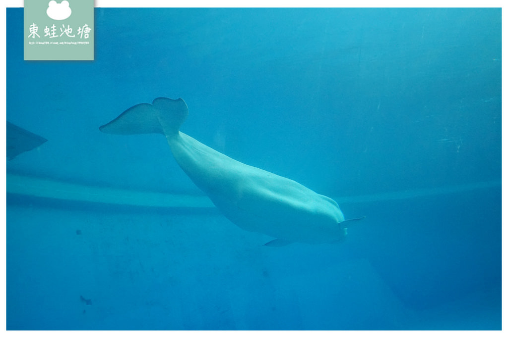 【屏東必訪親子景點推薦】海洋生物主題大型博物館 國立海洋生物博物館-海生館 【屏東必訪親子景點推薦】海洋生物主題大型博物館 國立海洋生物博物館-海生館
