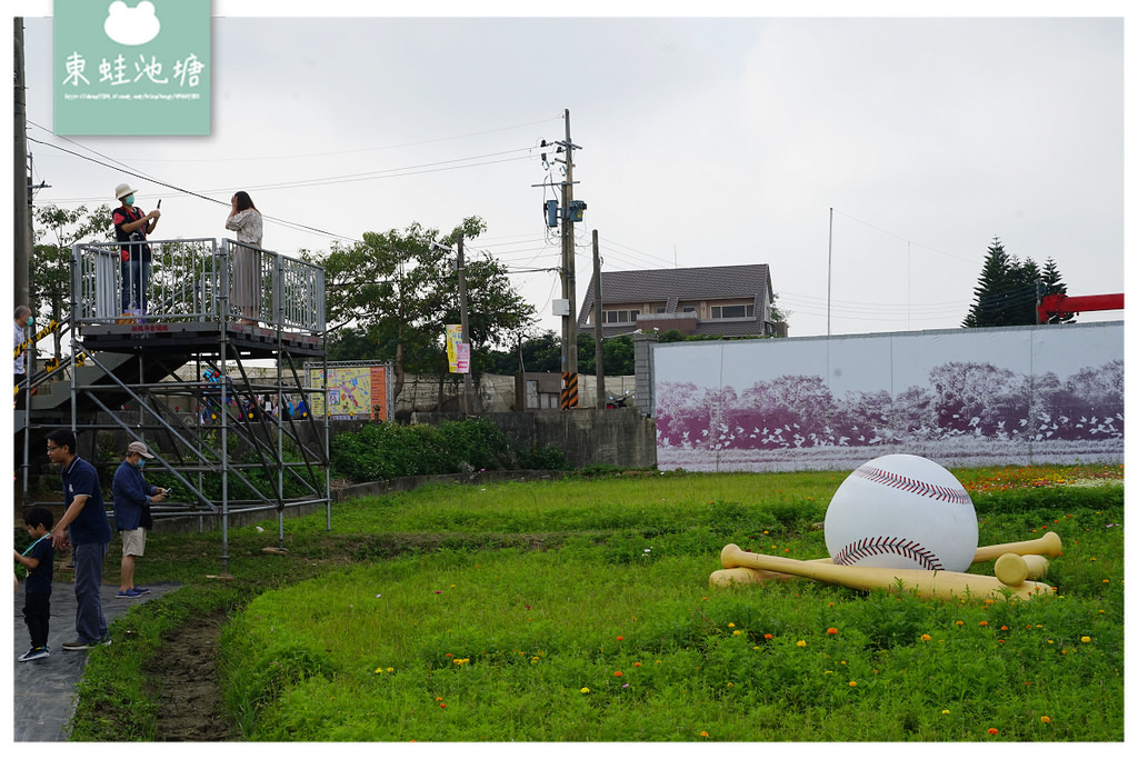 【2021桃園花彩節】Hello野球趣平鎮展區 普羅旺斯花海/平鎮富良野花海/向日葵迷宮區