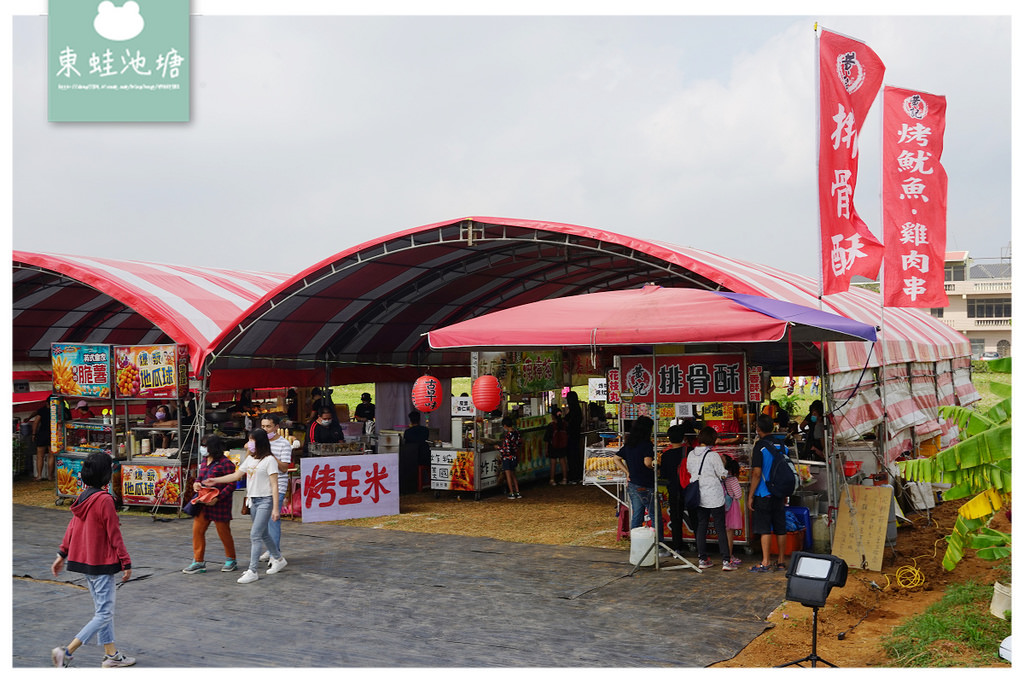 【2021桃園花彩節】Hello野球趣平鎮展區 普羅旺斯花海/平鎮富良野花海/向日葵迷宮區