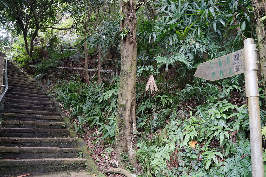 【臺北大縱走 taipei grand Trail 第六段】全長10公里 耗時6小時 你敢來挑戰嗎？