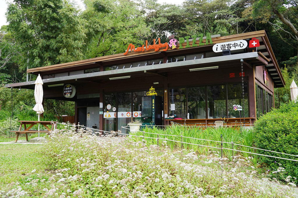 【桃園免費景點推薦】大檜溪農村聚落梯田生態復育 磨石子溜滑梯綜合遊憩區 大有梯田生態公園 【桃園免費景點推薦】大檜溪農村聚落梯田生態復育 磨石子溜滑梯綜合遊憩區 大有梯田生態公園