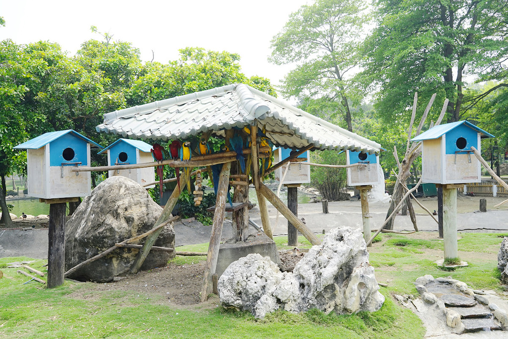 【台南親子景點推薦】南台灣最大野生動物園 玩整天都玩不夠 頑皮世界野生動物園 【台南親子景點推薦】南台灣最大野生動物園 玩整天都玩不夠 頑皮世界野生動物園