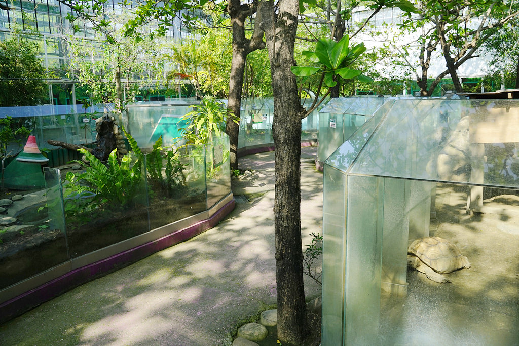 【台南親子景點推薦】南台灣最大野生動物園 玩整天都玩不夠 頑皮世界野生動物園 【台南親子景點推薦】南台灣最大野生動物園 玩整天都玩不夠 頑皮世界野生動物園