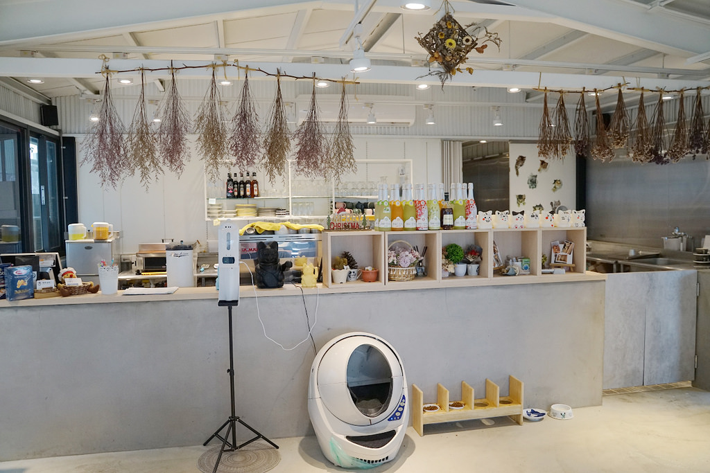 【桃園龍潭夜景餐廳推薦】乳姑山上貓咪咖啡館 絕美玻璃屋+星空泡泡屋 貓禾景觀咖啡餐廳 【桃園龍潭夜景餐廳推薦】乳姑山上貓咪咖啡館 絕美玻璃屋+星空泡泡屋 貓禾景觀咖啡餐廳