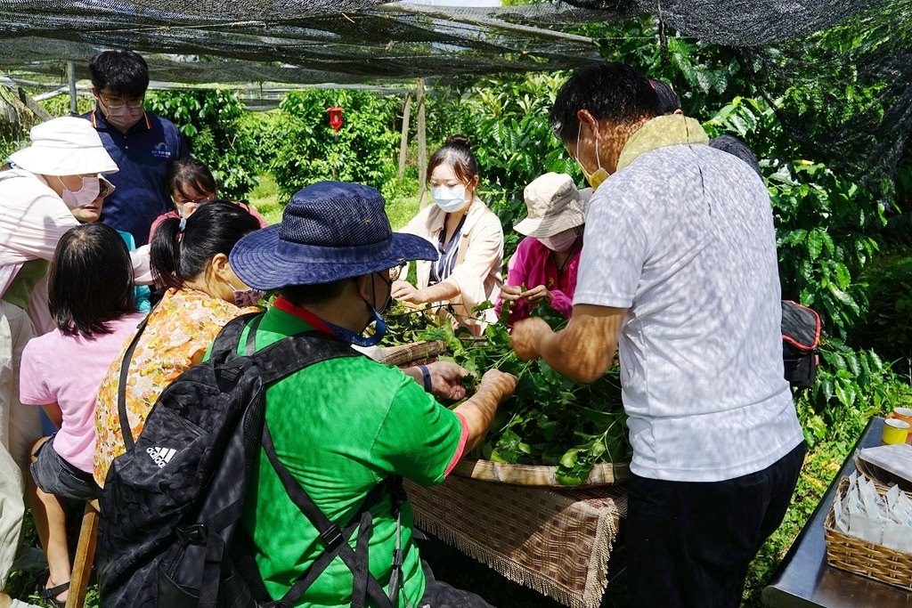 【南投埔里農場體驗推薦】埔里咖啡產銷班莊鴻模班長 獨特手作咖啡葉茶DIY 鴻模咖啡莊園 【南投埔里農場體驗推薦】埔里咖啡產銷班莊鴻模班長 獨特手作咖啡葉茶DIY 鴻模咖啡莊園