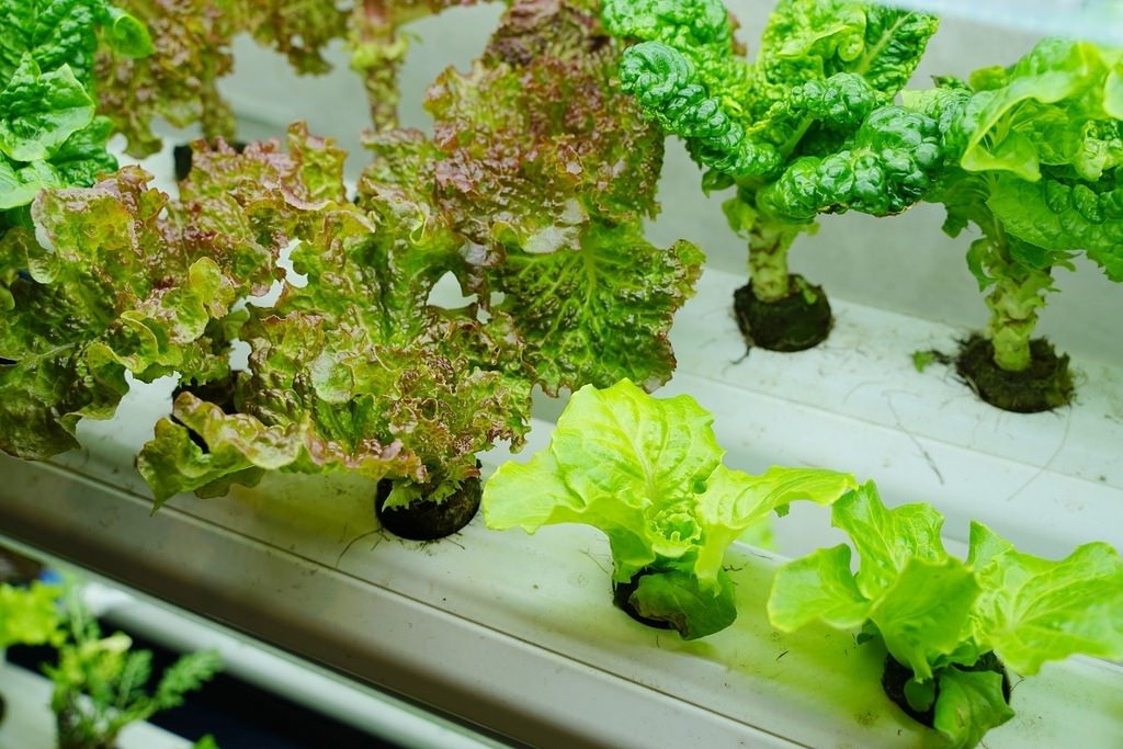 【台中后里親子景點推薦】親子木工手作DIY體驗 網美拍照打卡景點 木匠兄妹木工房 【台中后里親子景點推薦】親子木工手作DIY體驗 網美拍照打卡景點 木匠兄妹木工房