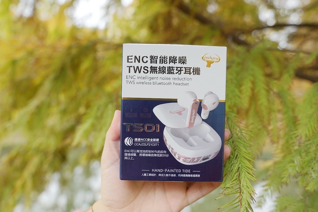 【2023年藍芽耳機推薦】ENC智能降噪 媽媽追劇神器【Cowhorn TS01 智能降噪無線藍芽耳機】