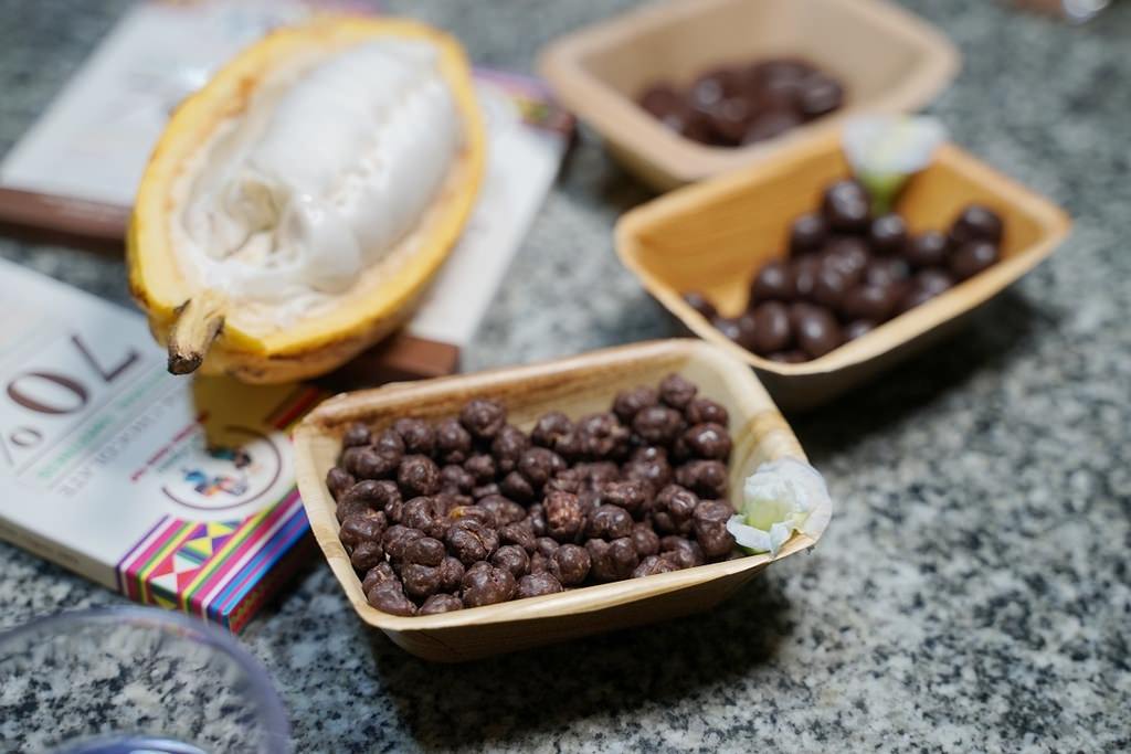 【泰國清邁巧克力農場推薦】清邁在地可可農場 巧克力愛好者必訪 Hill Tribe Cocoa Cof โกโก้ดอย 【泰國清邁巧克力農場推薦】清邁在地可可農場 巧克力愛好者必訪 Hill Tribe Cocoa Cof โกโก้ดอย