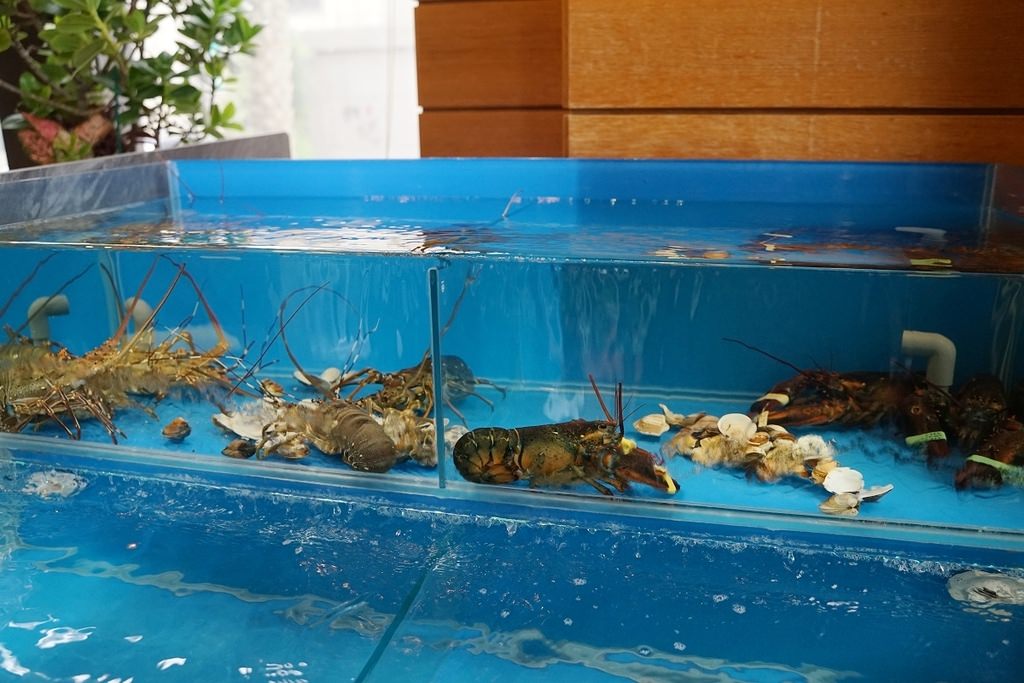 【青埔火鍋推薦】天天鮮魚蛤蜊提煉湯頭 青埔平價海鮮拼盤 食鍋性也海鮮鍋物